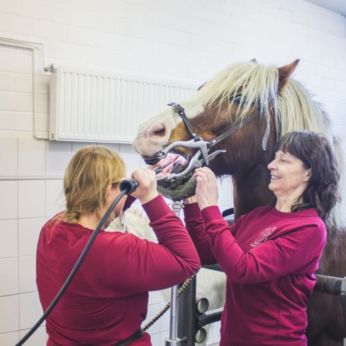 Zahnbehandlung 2_1zu1_filter